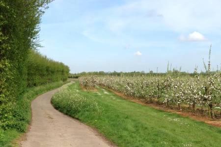 Church Farm B&B Suffolk Great Whelnetham 外观 照片